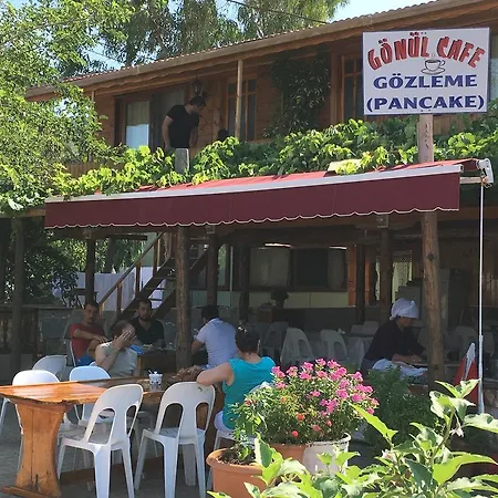 Gonul Калеючагиз